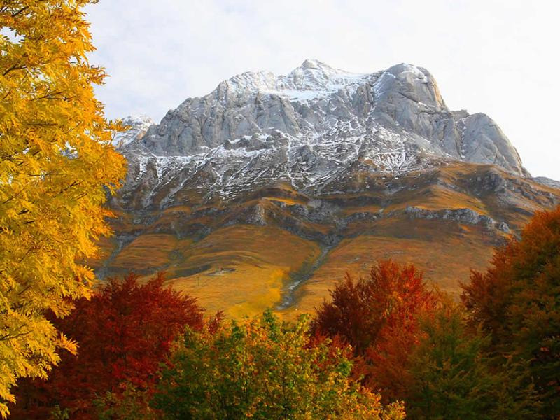 Montagna imponente innevata, avvolta da alberi autunnali dai colori caldi e vibranti.